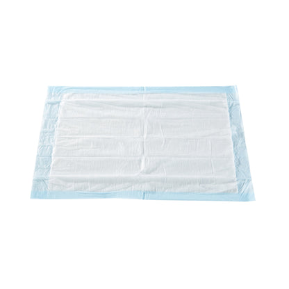 McKesson Classic Plus Light Absorbency Underpads